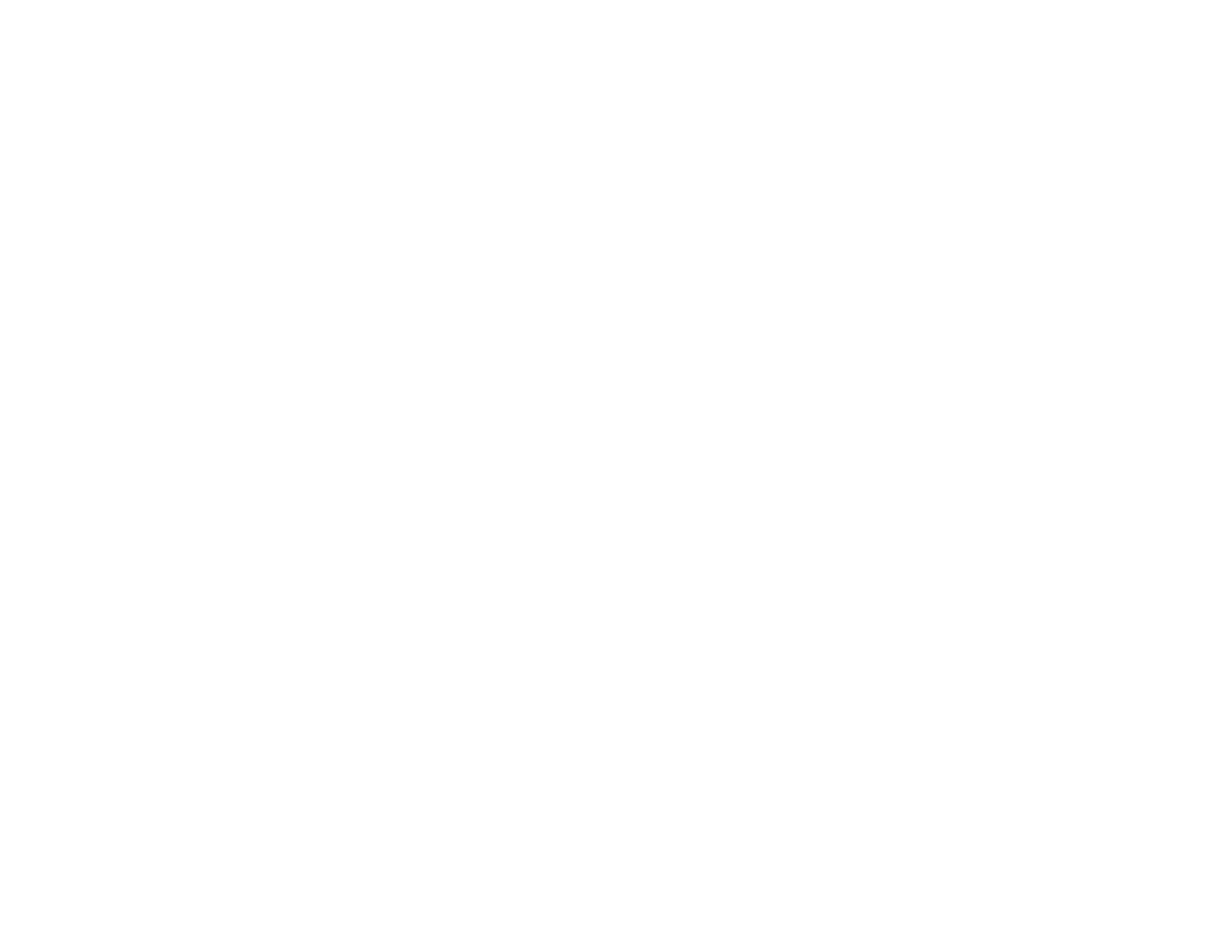 Smooth Transfer Logo
